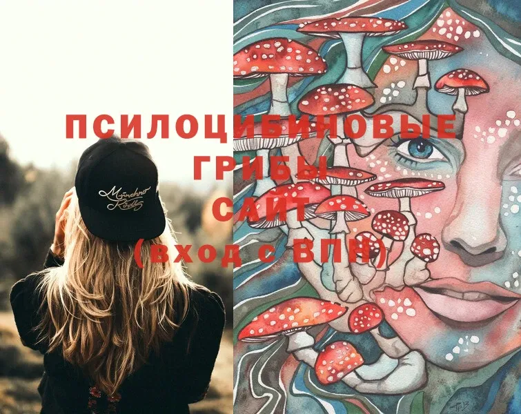 хочу   Задонск  Псилоцибиновые грибы Cubensis 